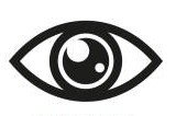 Vision
